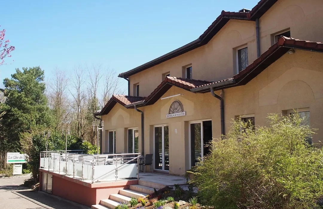 The Originals City, Hôtel Aster, Saint-Avold Nord (Inter-Hotel)-1